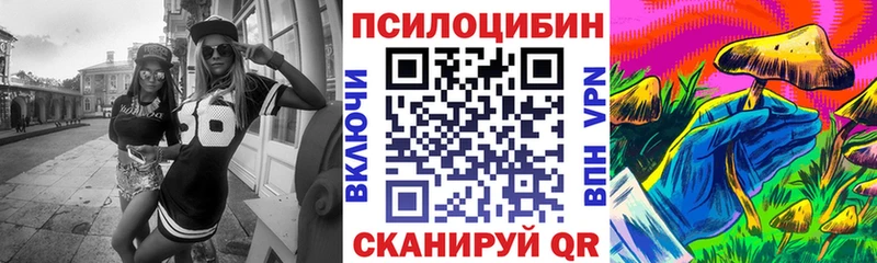 Псилоцибиновые грибы прущие грибы  цены наркотик  Чкаловск 